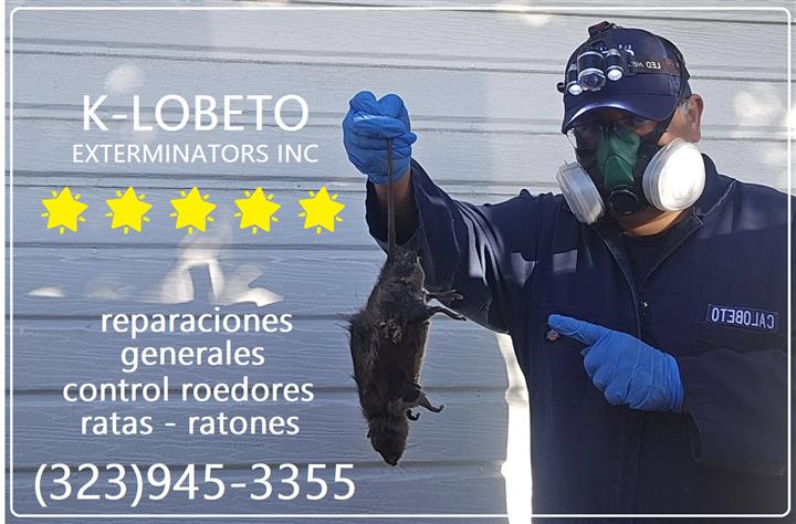 PEST CONTROL MAYWOOD 24/7.- image 4