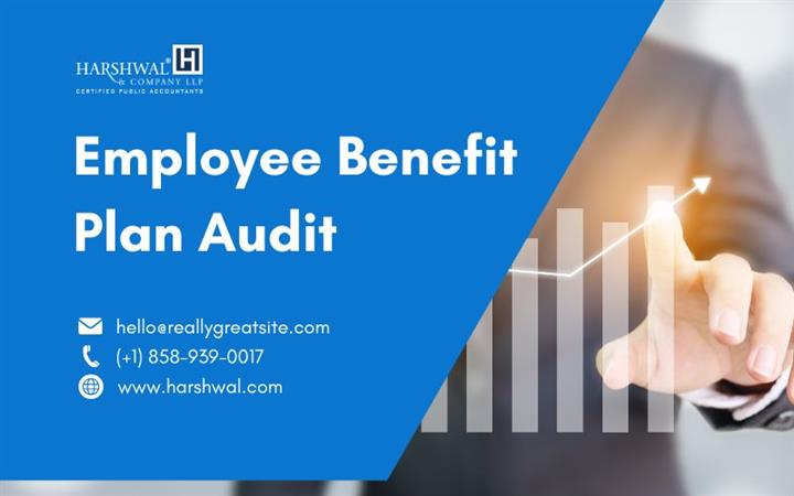 employee benefit plan audit image 1