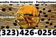 FUMIGACIONES MOLD-TERMITES thumbnail