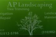 Ap tree trimmer and landscapin en Los Angeles