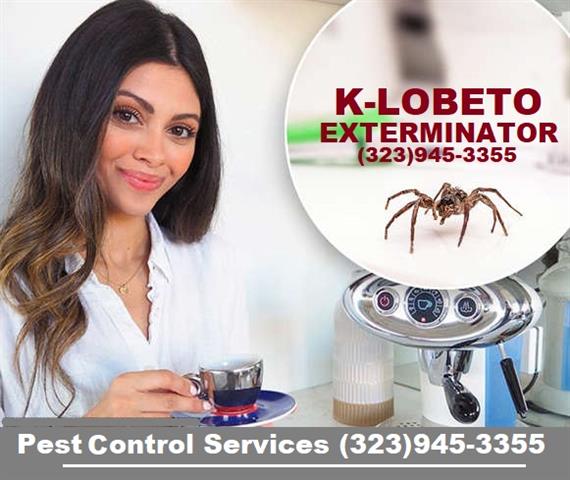 PEST CONTROL SERVICES 24/7 .- image 6