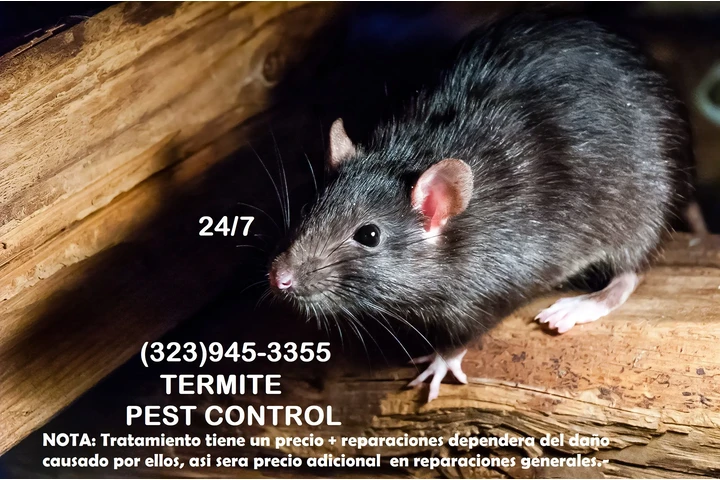 FUMIGATIONS ALL DAY CALL NOW.- image 3