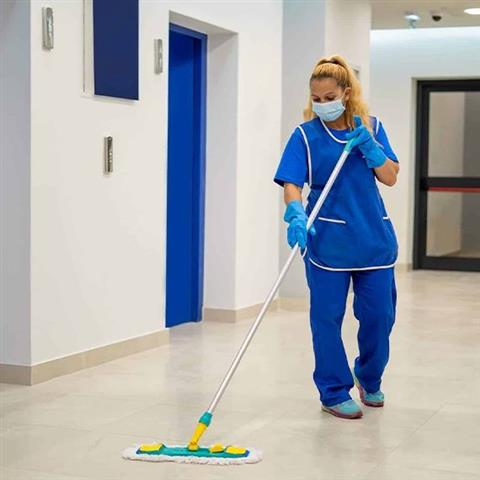AVELINAS CLEANING SERVICES image 4