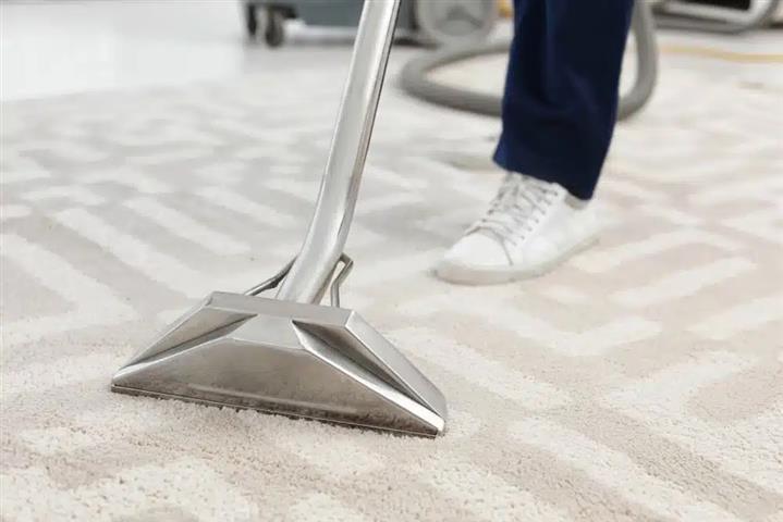 Professional Carpet Cleaning image 1
