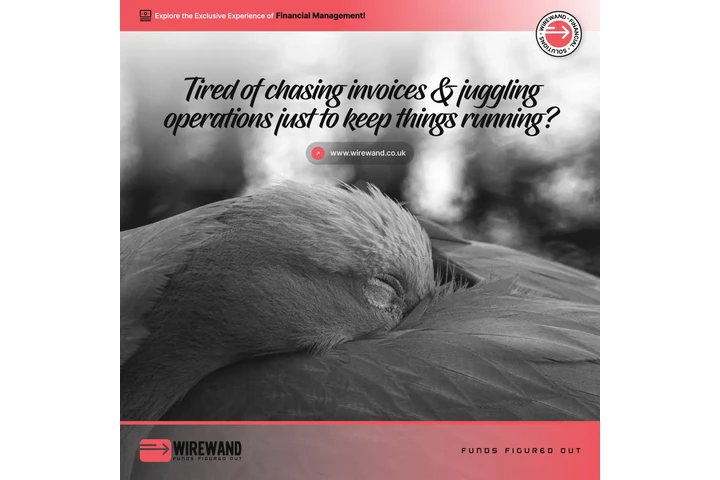 WIREWAND | HIGH NET WORTH INDI image 1