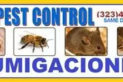 CUCARACHAS/RATONES/CHINCHES thumbnail