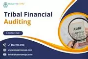 Tribal Financial Auditing BAI