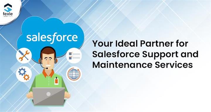 Salesforce Maintenance Service image 1