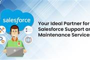 Salesforce Maintenance Service en Dallas