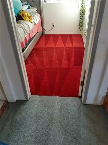Roberto's carpet cleaning image 3
