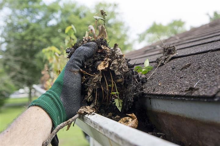 Cleaning gutters image 2