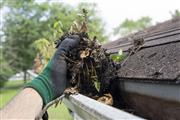 Cleaning gutters thumbnail