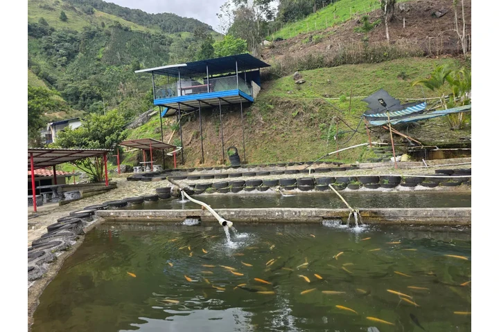 glamping barbosa  -  antioquia image 4