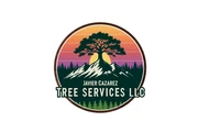 Professional Tree Services en Orlando