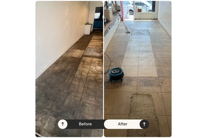 Expert Floor & Carpet Cleaning image 4