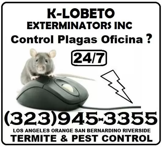 RODENTS PEST CONTROL SERVICES. image 7