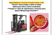 Forklift/Montacarga Sentado
