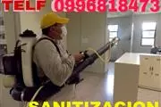 CUCARACHAS en Conocoto
