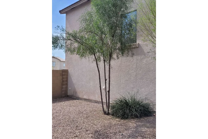Premium Lawn Care image 2