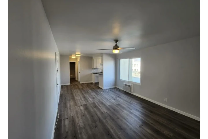 $1100 : ¡Rento apto de 1 habitación! image 3