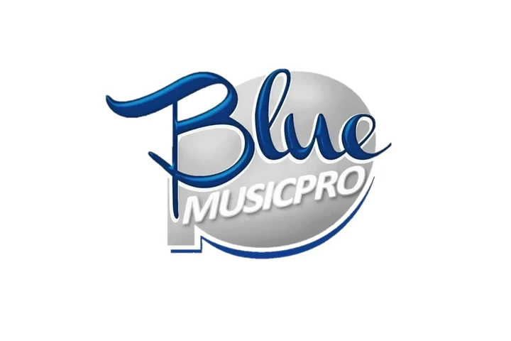 Pistas musicales profesionales image 1