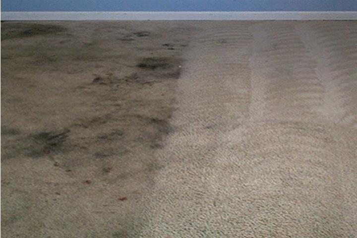 MAURICIO'S CARPET CLEANING image 3