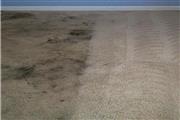 MAURICIO'S CARPET CLEANING thumbnail