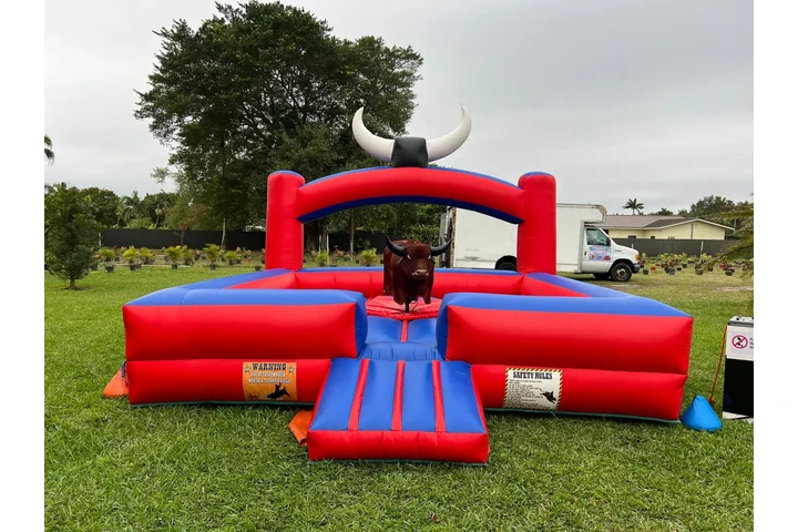 Mechanical bull image 1
