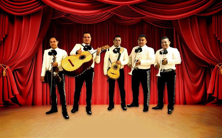 MARIACHI SOL DE VERACRUZ image 7