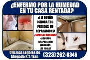 🔥SU CASA TIENE HUMEDAD? LLAME thumbnail