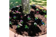 Landscaping Services thumbnail