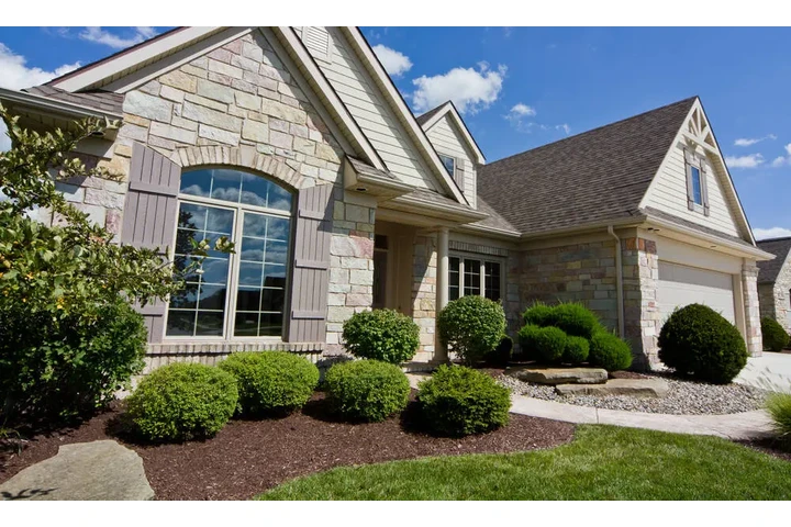 Your Yard, Our Expertise! image 3