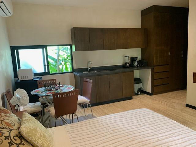 $110000 : Excelente Studio en Aldea Zama image 8