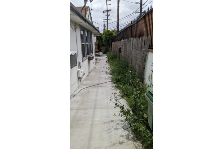 Corte de pasto a domicilio image 2