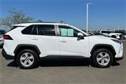 $22600 : RAV4 XLE thumbnail