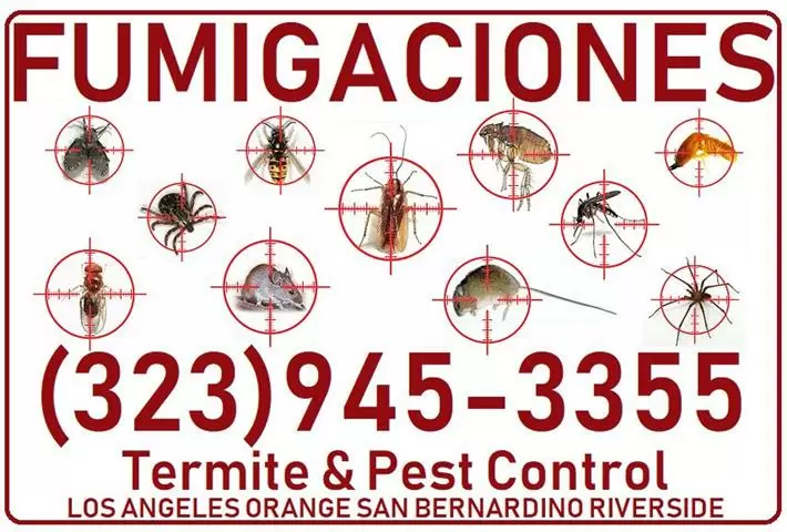 *TERMITE-PEST CONTROL SERVICE* image 5