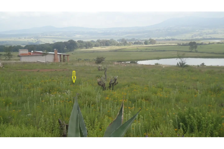 $643500 : TERRENO P/ CABAÑA CERC AMEALCO image 2