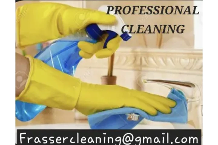Profesional Cleaning image 2