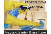 Profesional Cleaning thumbnail