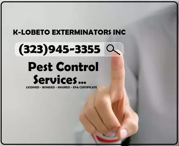 PEST CONTROL SERVICES 24/7.- image 3