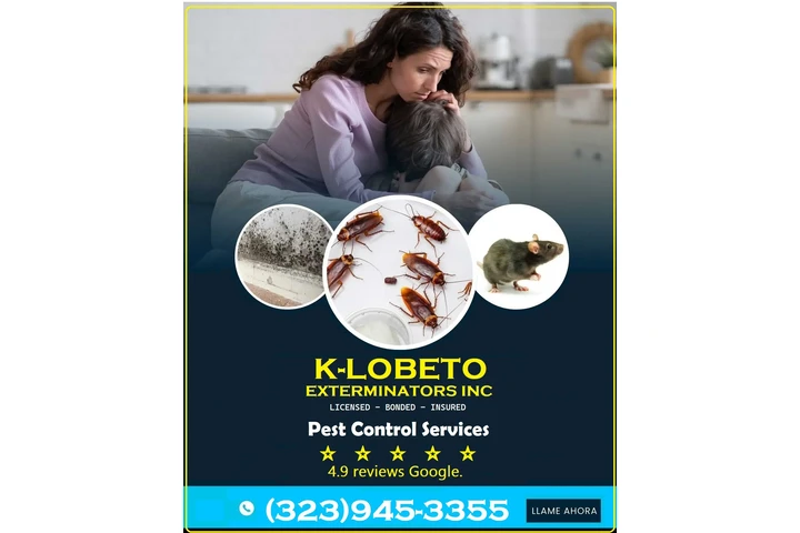 PEST CONTROL SERVICES⭐⭐⭐⭐⭐L.A. image 6