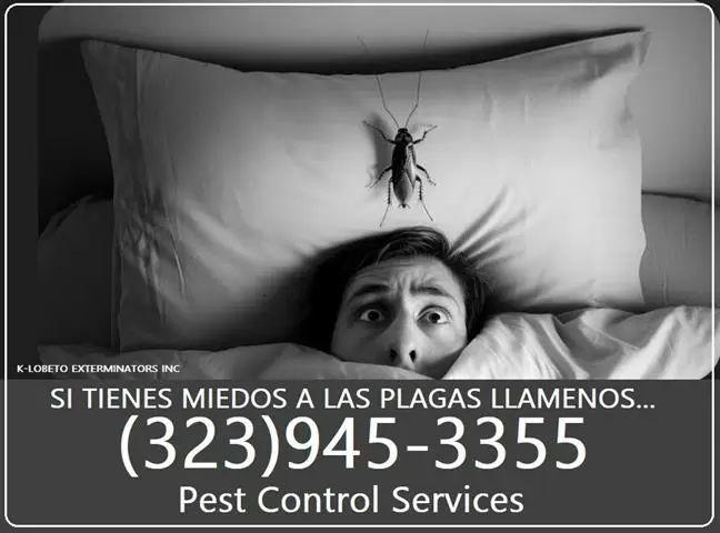FUMIGACIONES GENERALES 24/7. image 10