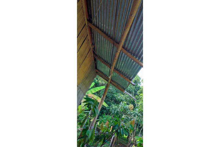 $35000 : TERRENO PRODUCTIVO+CASA CAMPO image 6