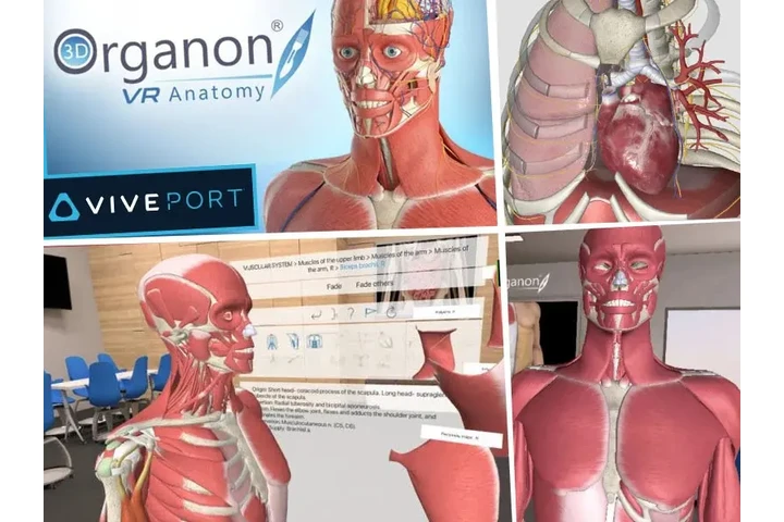 VR Solution Company |JuegoneXR image 5