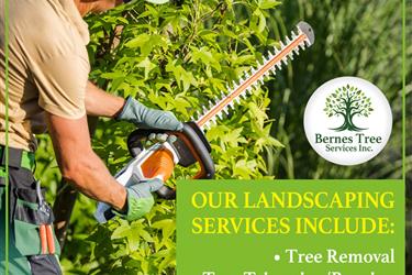 Professional Tree Services! en Indianapolis