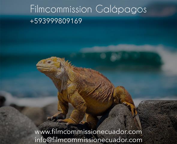 Fixer en Galápagos image 1