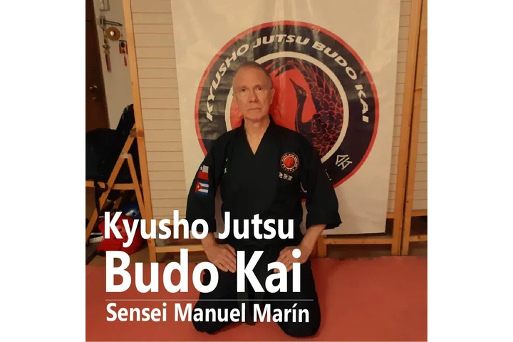 Boxeo y karate como defensa image 8