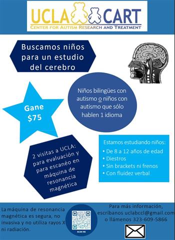 UCLA Bilingualism Brain Study image 2