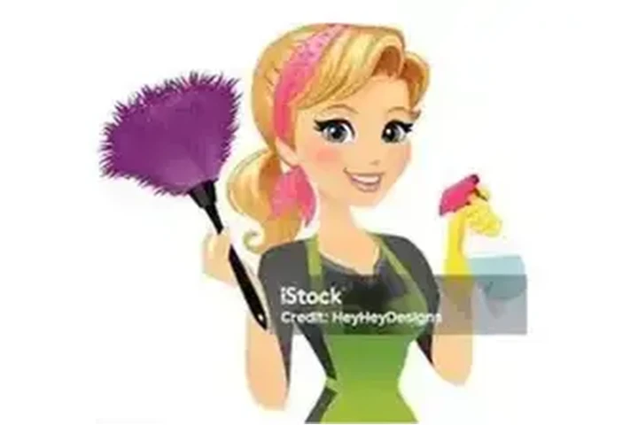 LIMPIEZA DE CASAS Y OFICINAS image 1