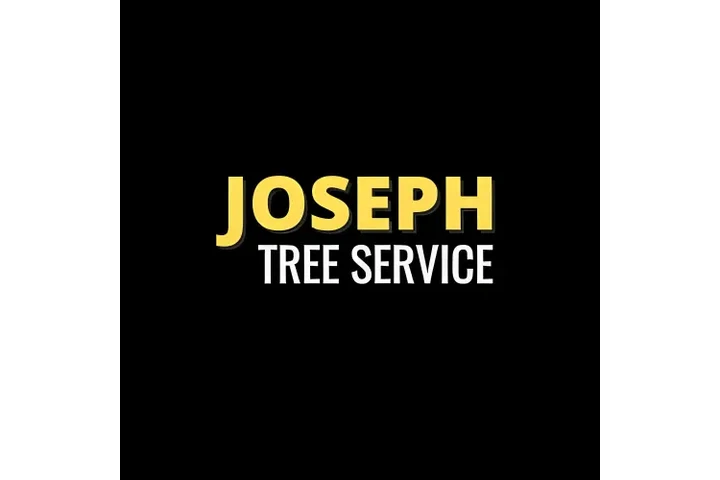 Joseph Tree Services image 1
